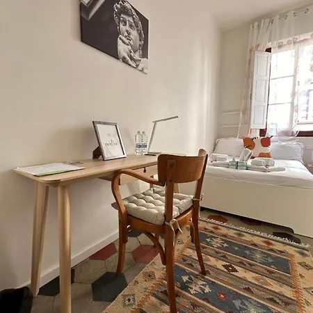 Michelangelo - Casa Babette Florencie